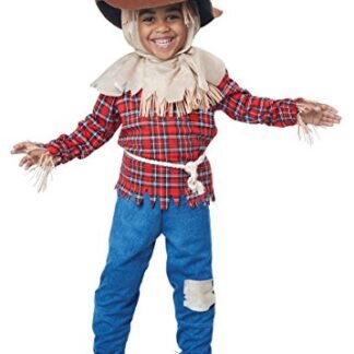 California Costumes Harvest Time Scarecrow/Toddler Costume, One Color, 42067