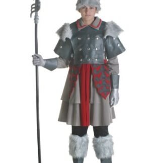 Fun Costumes boys Teen Witch Guard Costume Teen