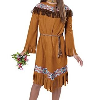 California Costumes Classic Indian Girl Child Costume
