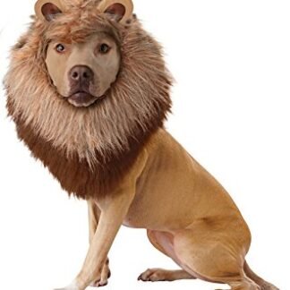 Animal Planet Lion Dog Costume
