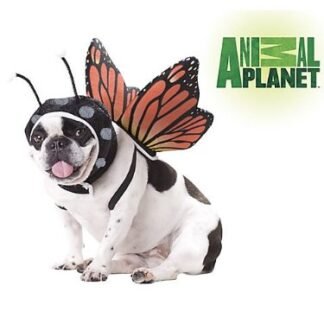 Animal Planet PET20101 Butterfly Dog Costume