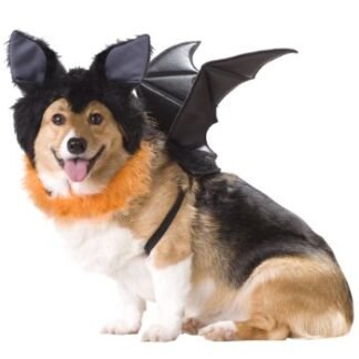Animal Planet PET20103 Bat Dog Costume