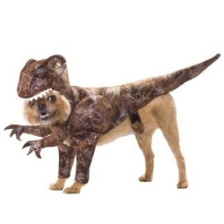 Animal Planet PET20109 Raptor Dog Costume