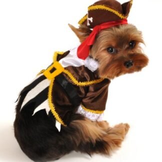 Anit Accessories Pirate Captain Dog Costume, 8-Inch