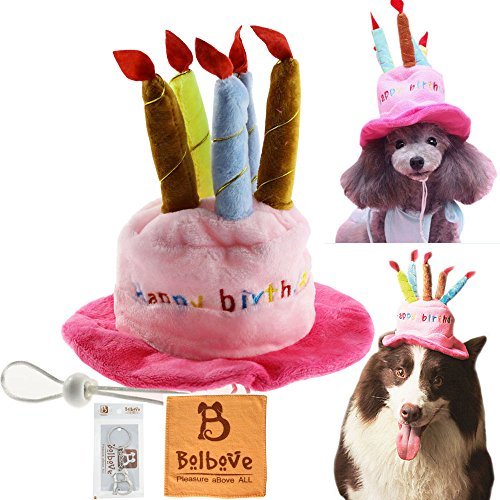 Bro'Bear Dog Birthday Hat with Cake & Candles Design Party Costume Accessory Headwear Pink (One Size Fits Most)