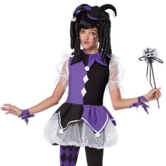 California Costumes Jester Girl Costume