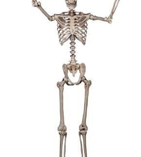 Crazy Bonez Pose-N-Stay Skeleton