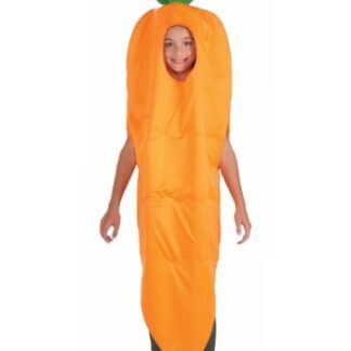Fruits and Veggies Collection Carrot Child Costume, Small