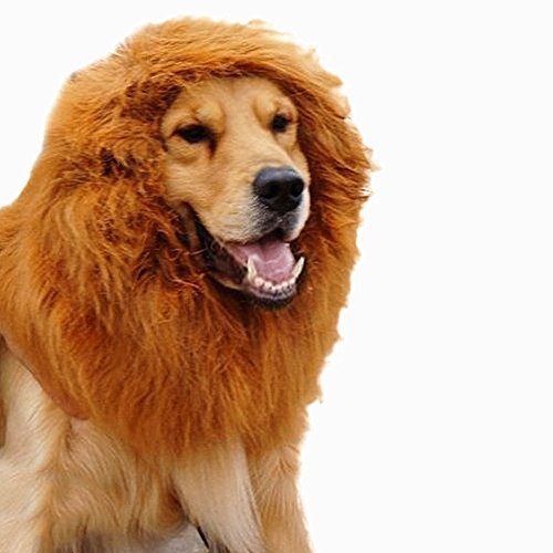 Lion Mane for Dog, StillCool Pet Dog Costume Lion Wigs Mane Hair Party Fancy