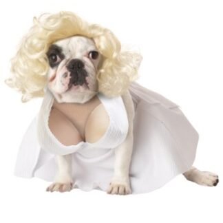 Pup-A-Razzi Silver Screen Starlet Dog Costume, White