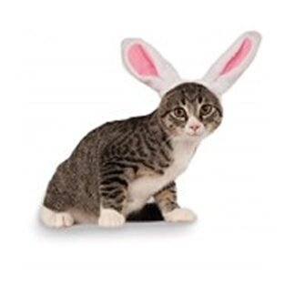Rubies Costume Company Bunny Ears for Your Pet