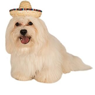 Rubies Costume Company Pet Sombrero Hat with Multicolor Trim