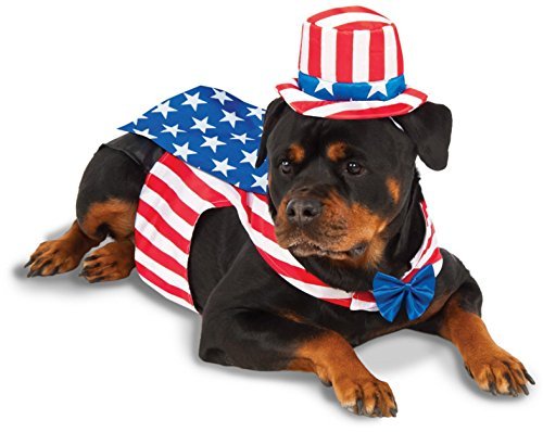Rubies Costume Company Uncle Sam Big Dog Boutique