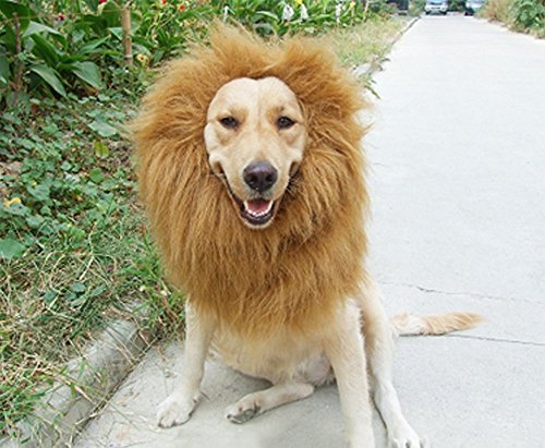 Sunreek8482;Large Pet Dog Cat Lion Wigs Mane Hair Festival Party Fancy Dress Clothes Costume - Image 3
