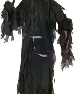 Rubie’s Costume Lord Of The Rings Ringwraith, Black, One Size Costume