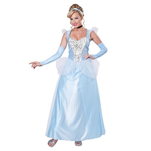 Classic Cinderella Womens Plus Size Costume -Womens Plus 3X (20-22)