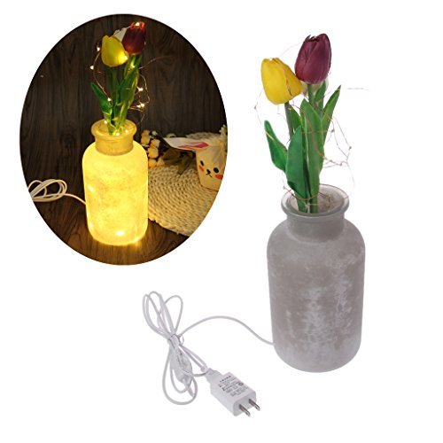 Lulujan String Light USB Vase Light 10m 100 LEDs Flower Copper Wire Fairy Strip Light with Glass Vase Waterproof for Party Xmas Halloween Home Decor Indoor