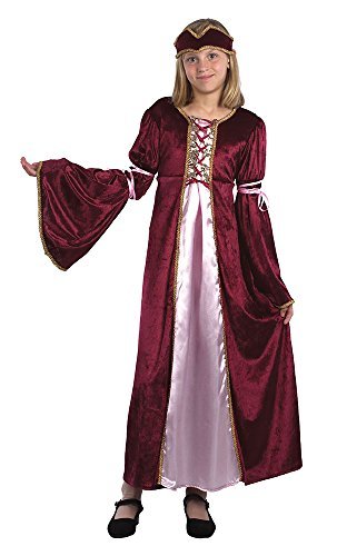 Large Girls Renaissance Princecess Costume by Bristol Novelty