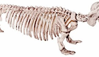 21 Inch Plastic Dachshund Dog Skeleton Halloween Decoration