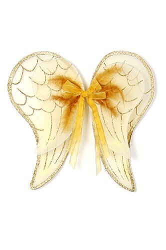 Gold Angel Wings Toddler Girl Costume Dress Up Wings Fits 2-14