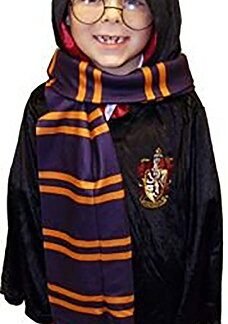 World Book Day-Character-Harry-Wizard SCHOOL SCARF Fancy Dress Accessory
