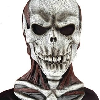 Forum Novelties Men's Skull Mask with Cowl, Multi, One Size