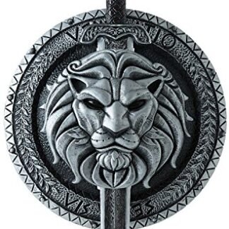 Shield of Thrones Shield and Sword Set Standard