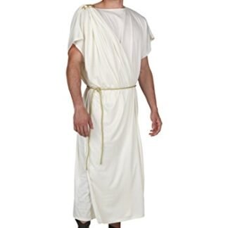 Fun Costumes mens Plus Mens Toga 2X